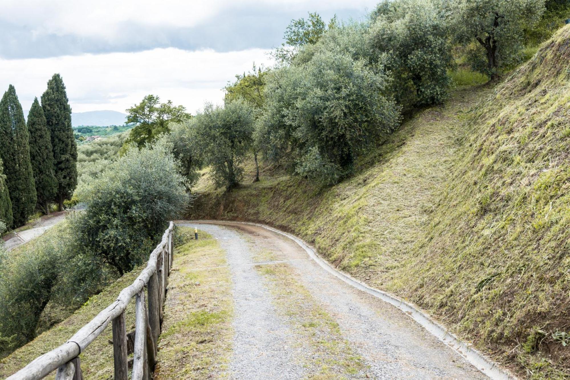 Residence Collecchio Pescia Dış mekan fotoğraf